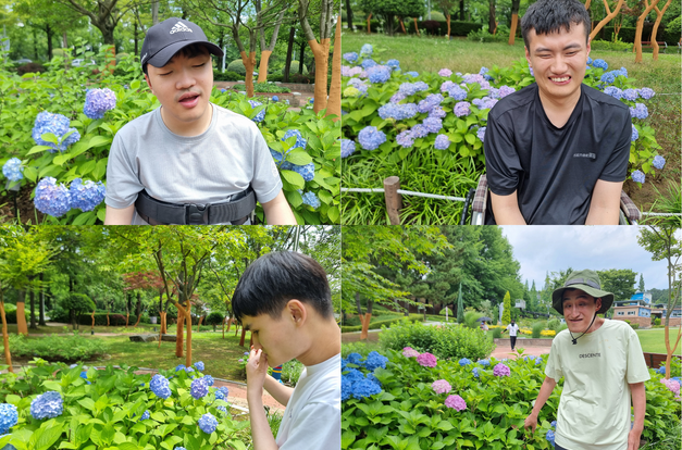 [동화] 수국과 함께 여름을 즐겁게 보내요.