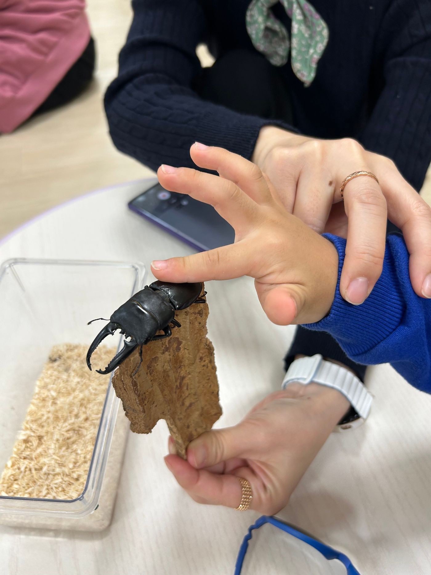 KakaoTalk_20251025_152031767_15