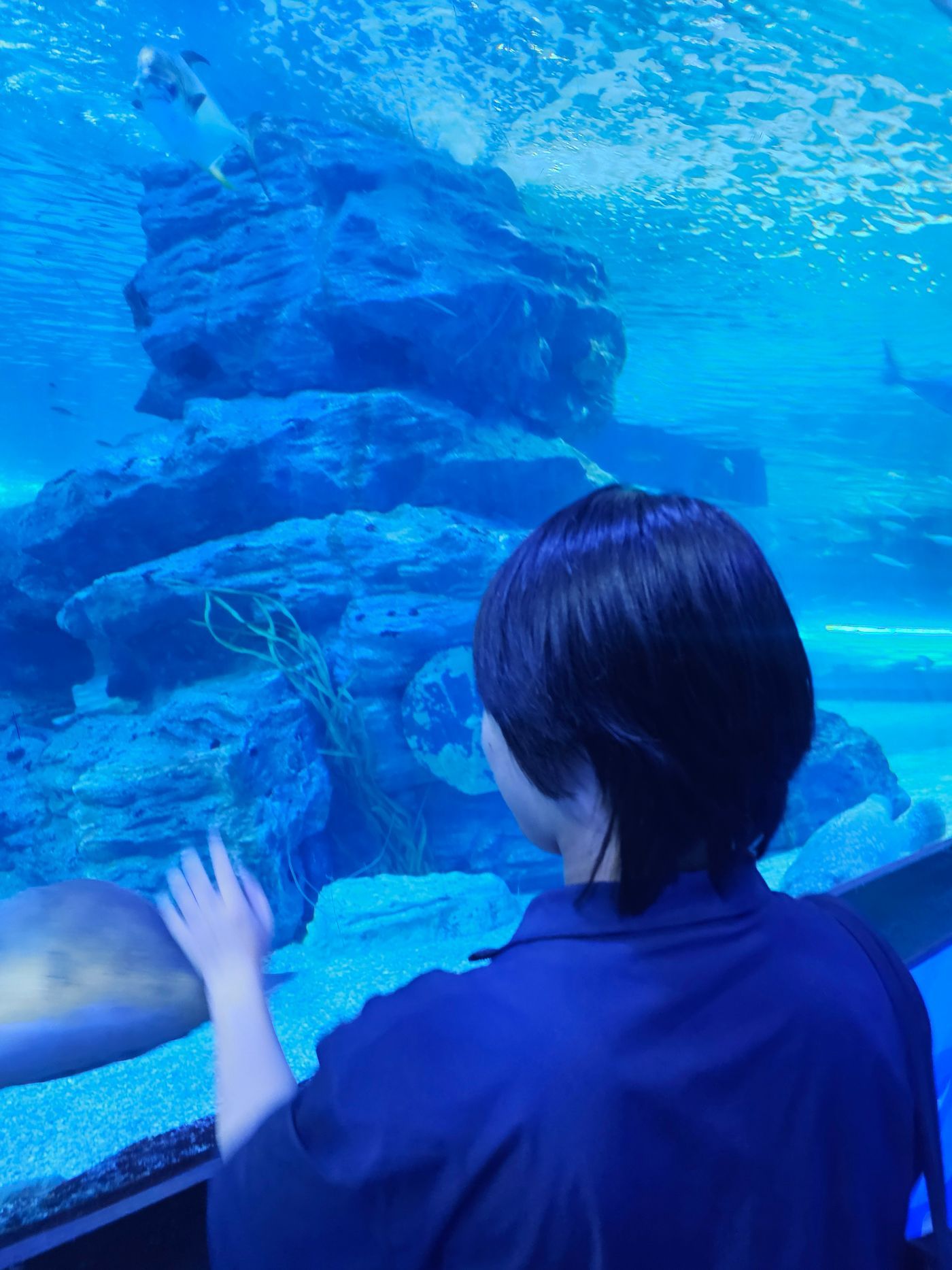 KakaoTalk_20251031_154719523_24