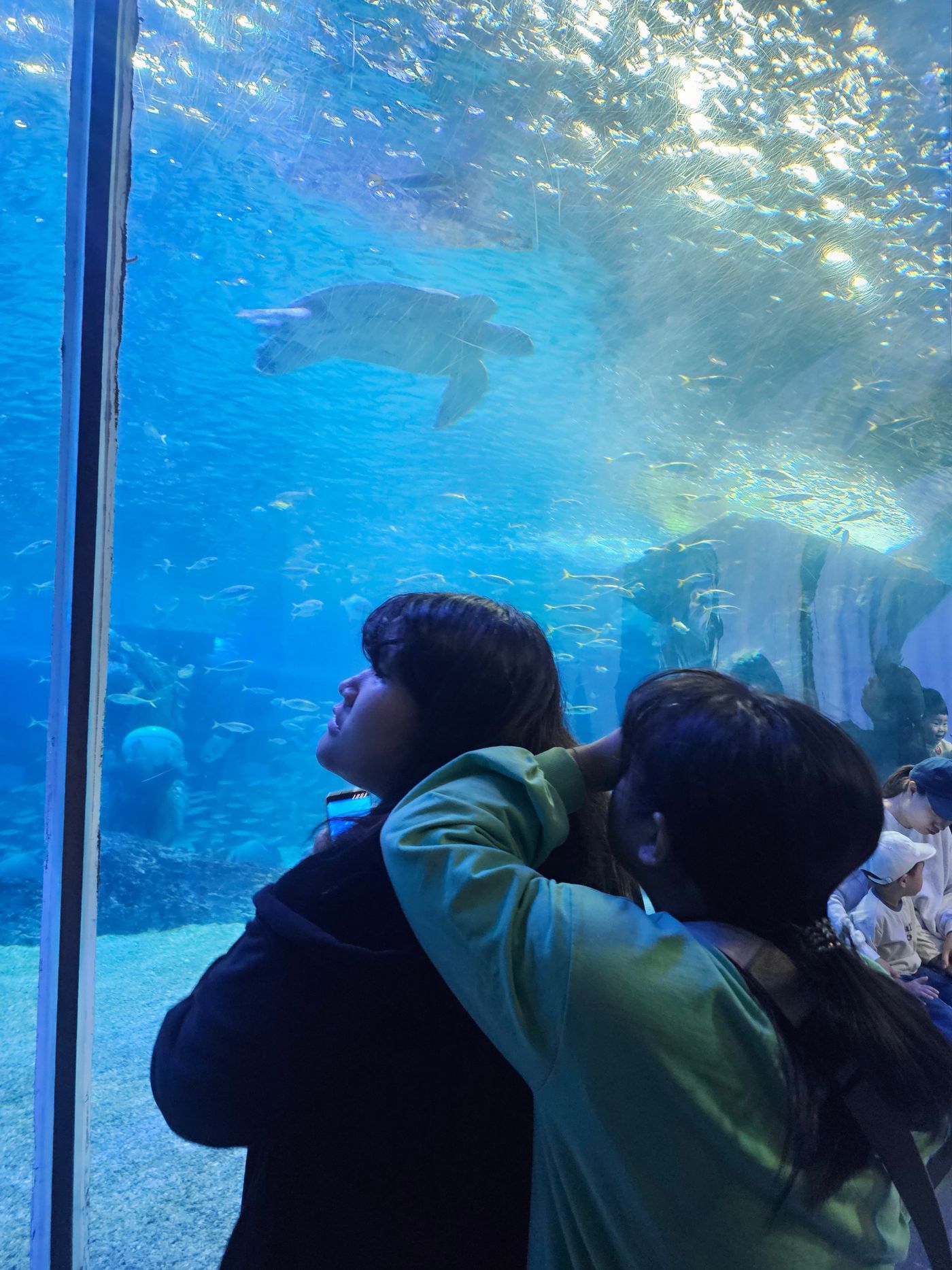 KakaoTalk_20251031_154719523_27