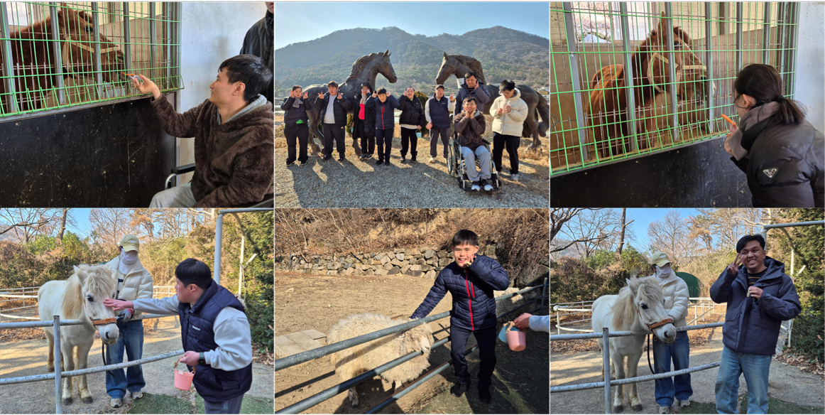 대동 승마랜드 방문