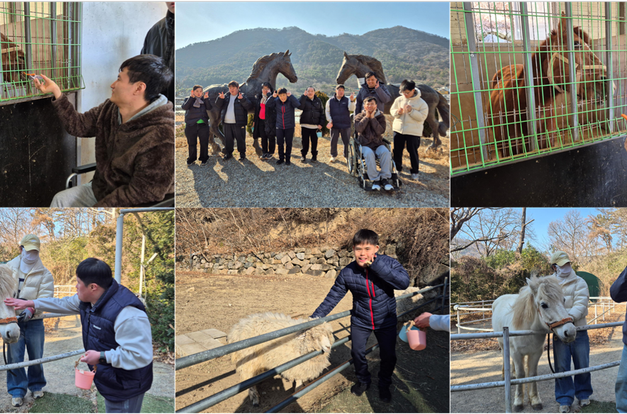 [동화] 2026년 '적토마의 해'를 맞이하여 말을 보고왔어요!