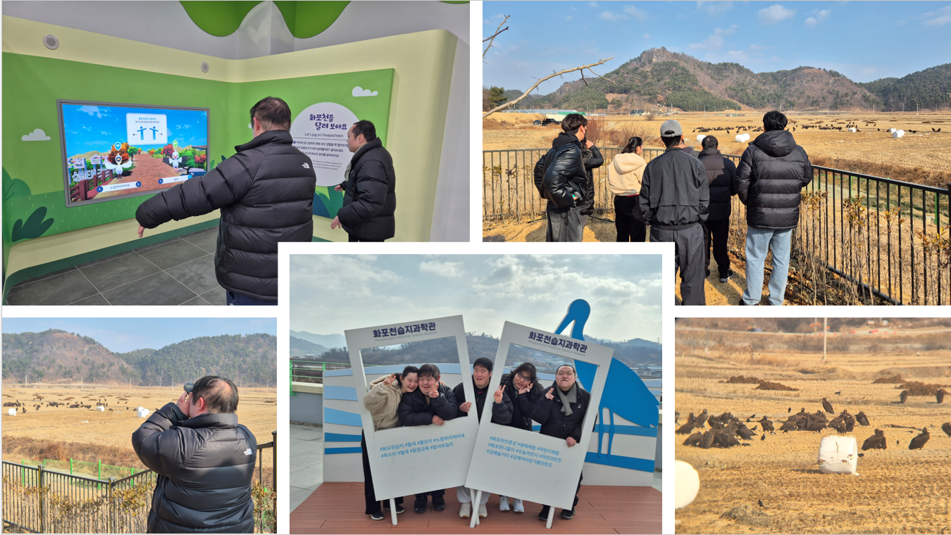 독수리 먹이주기 관람