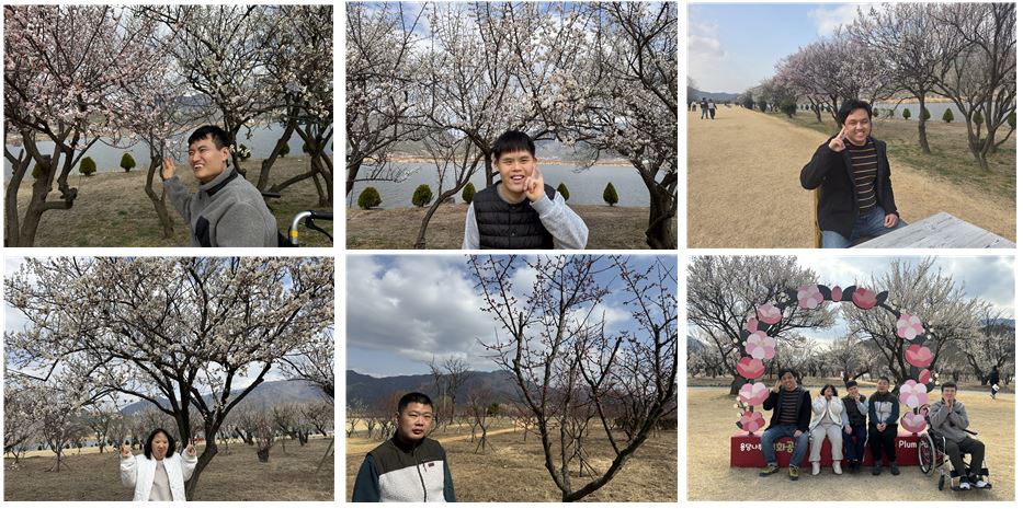 용당나루 매화공원