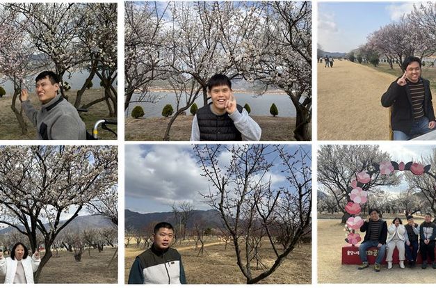 [동화] 미리 만나는 봄, 용당나루 매화나들이  다녀왔어요!