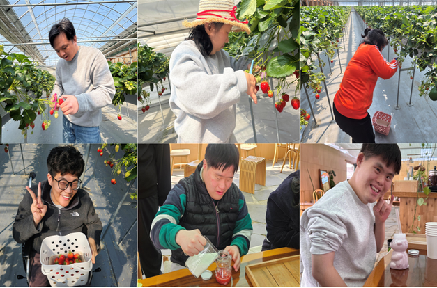 [동화] 달콤한 딸기를 직접 수확했어요!